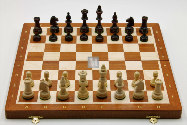 corso base di scacchi